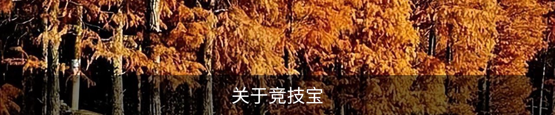 关于竞技宝